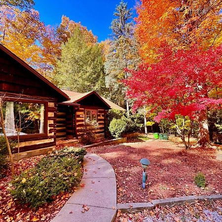 Log Cabin - Natures Oasis - Fire Pit & Gazebo Cleveland Exteriör bild