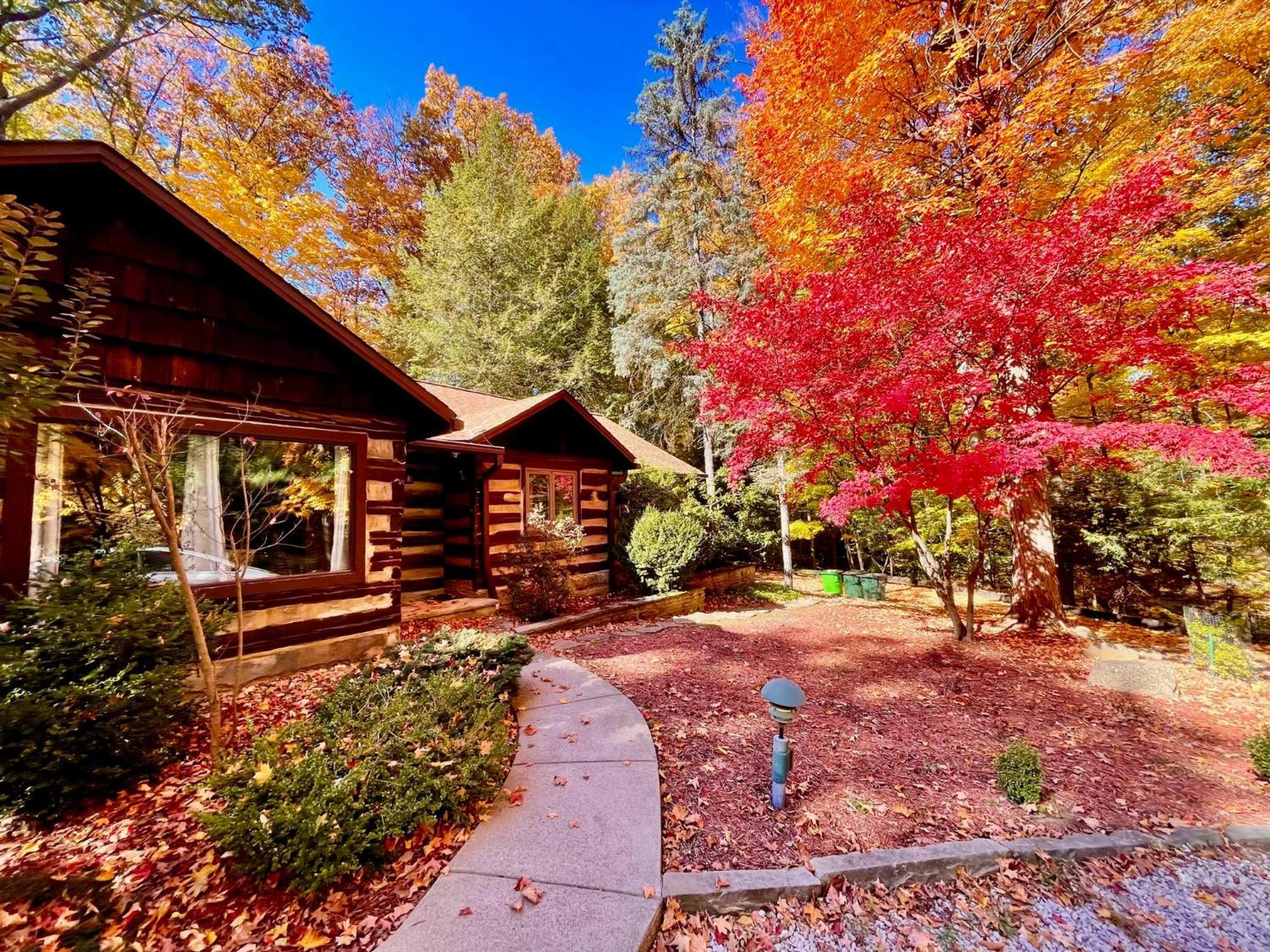 Log Cabin - Natures Oasis - Fire Pit & Gazebo Cleveland Exteriör bild